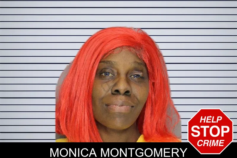 Monica Montgomery mugshot
