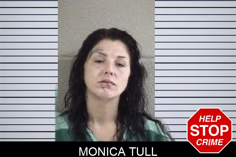 Monica Tull mugshot