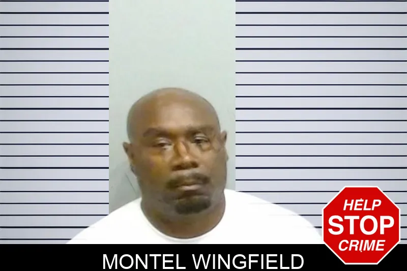 Montel Wingfield mugshot