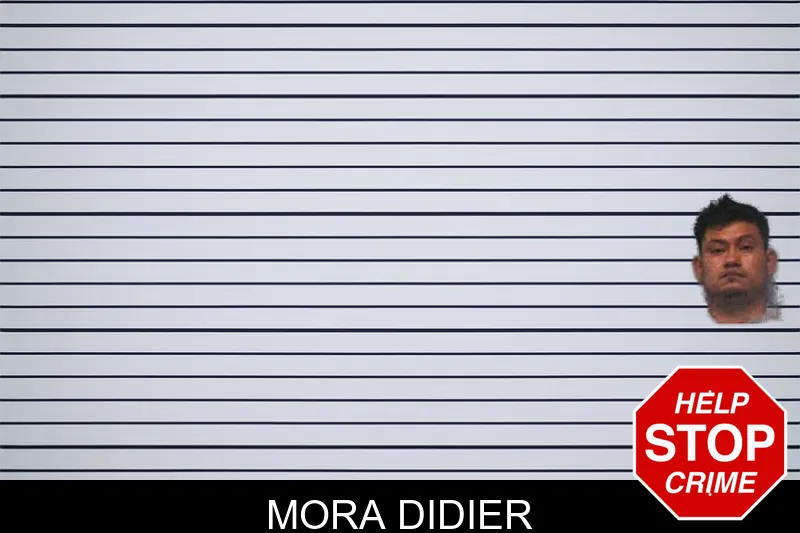 Mora Didier mugshot