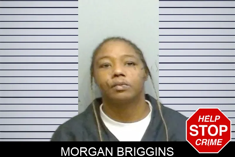 Morgan Briggins mugshot