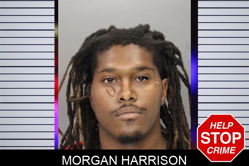 Morgan Harrison mugshot