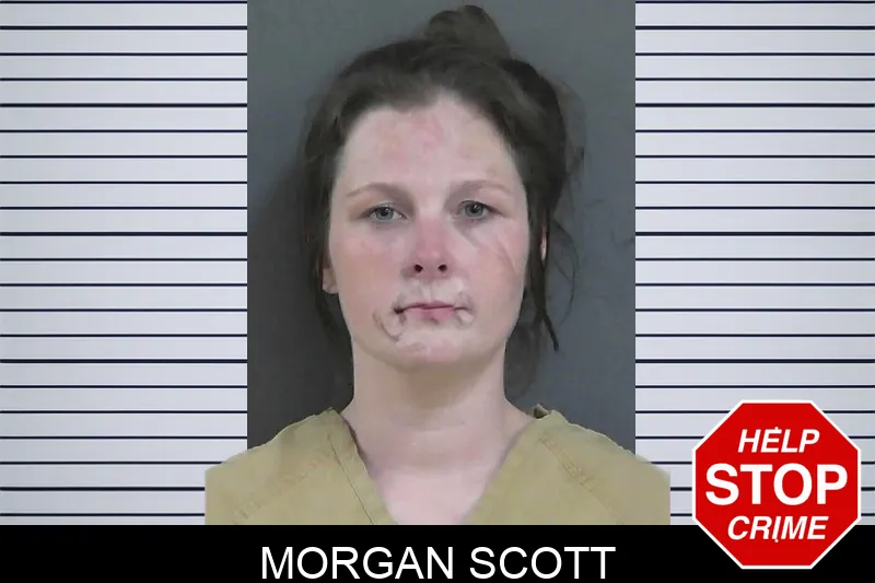 Morgan Scott mugshot – Gordon County , Georgia Morgan Scott mugshot