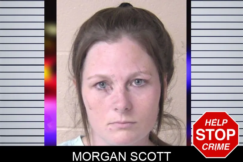 Morgan Scott mugshot – Walker County , Georgia Morgan Scott mugshot