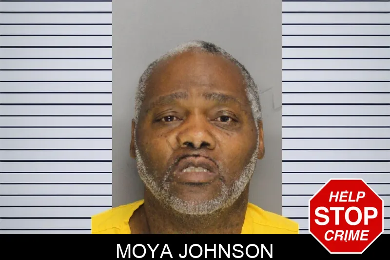 Moya Johnson mugshot