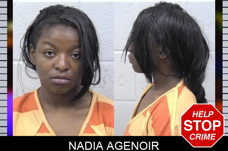 Nadia Agenoir mugshot – Paulding County , Georgia Nadia Agenoir mugshot