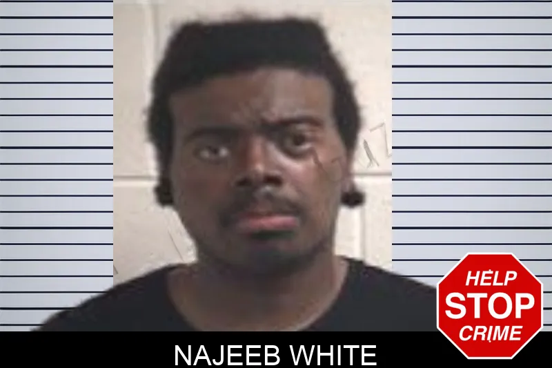 Najeeb White mugshot – Henry County , Georgia Najeeb White mugshot