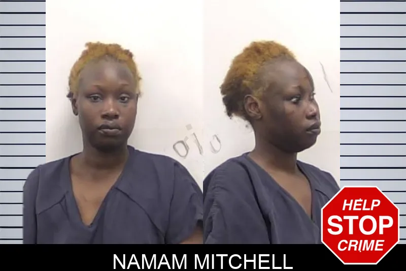 Namam Mitchell mugshot