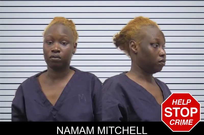 Namam Mitchell mugshot