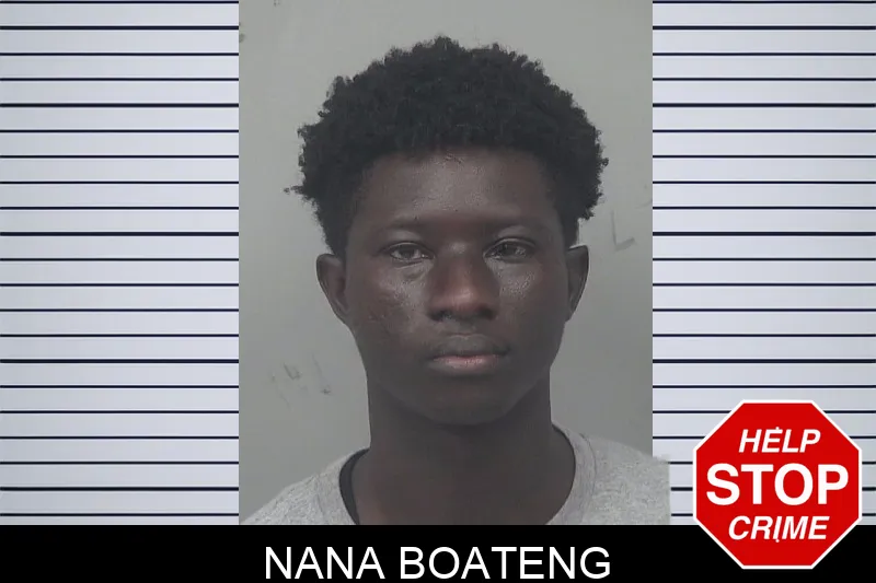 Nana Boateng mugshot