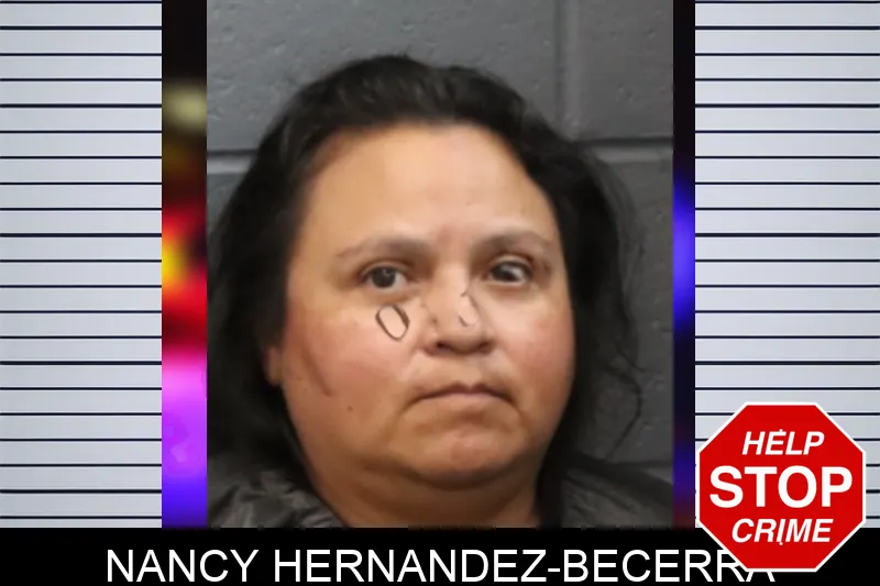 Nancy Hernandez-Becerra mugshot