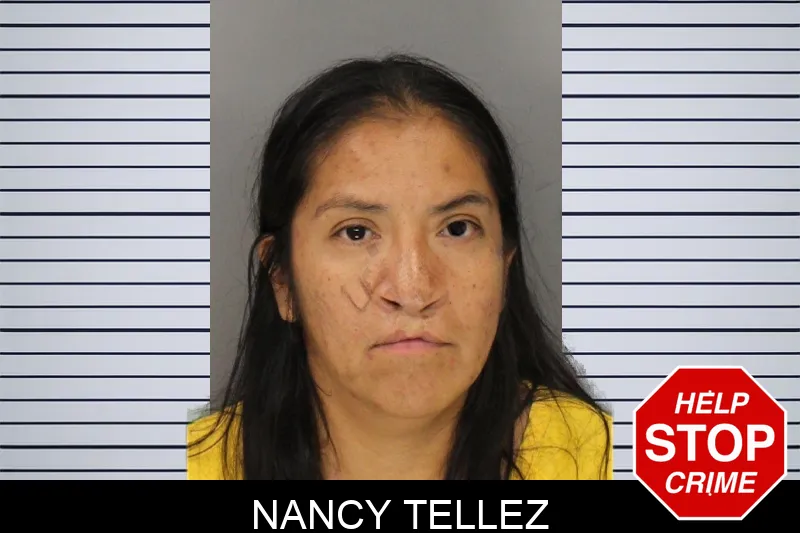 Nancy Tellez mugshot