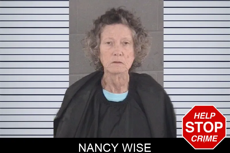 Nancy Wise mugshot – Spalding County , Georgia Nancy Wise mugshot