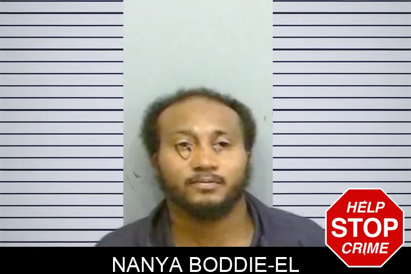 Nanya Boddie-El mugshot – Fulton County , Georgia Nanya Boddie-El mugshot