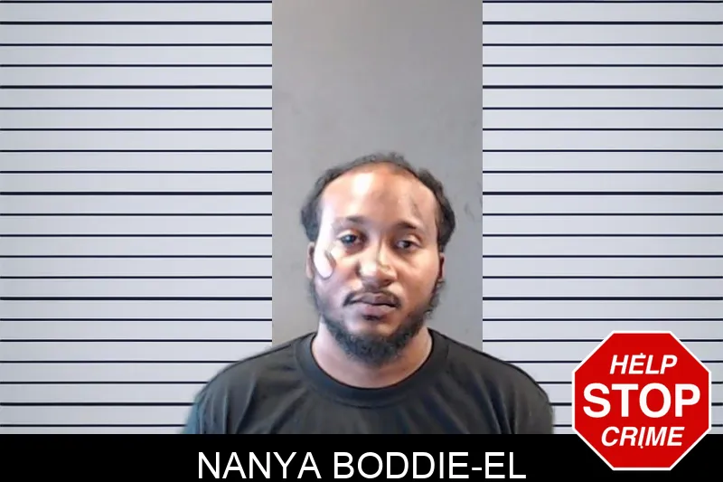 Nanya Boddie-El mugshot