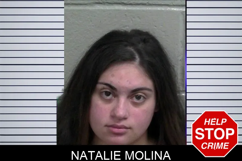 Natalie Molina mugshot – Wayne County , Georgia Natalie Molina mugshot
