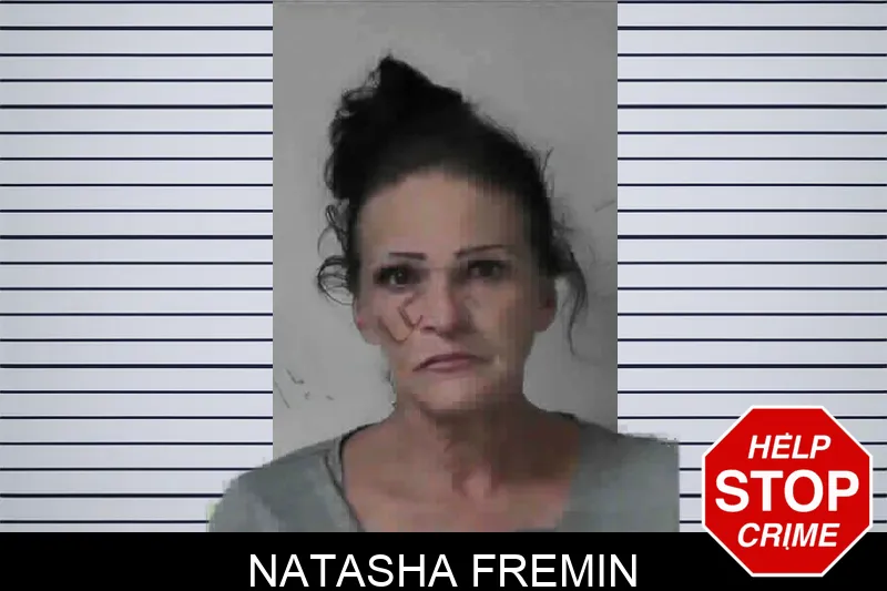 Natasha Fremin mugshot