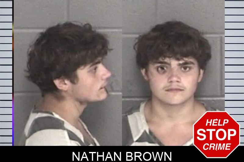 Nathan Brown mugshot – Barrow County , Georgia Nathan Brown mugshot
