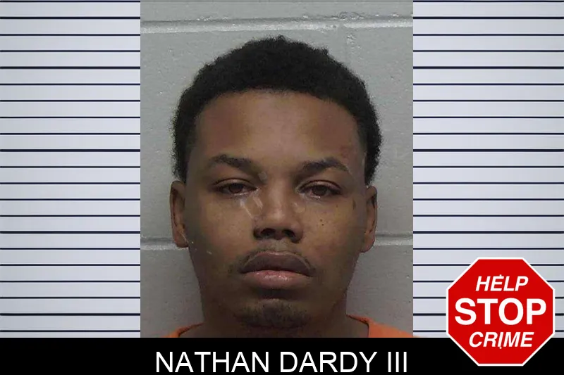 Nathan Dardy III mugshot