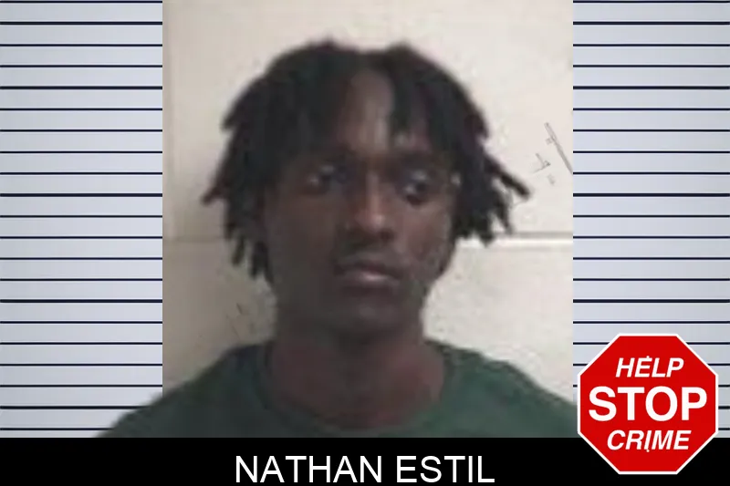 Nathan Estil mugshot