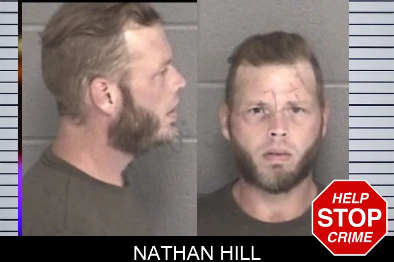 Nathan Hill mugshot