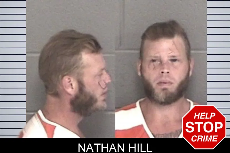 Nathan Hill mugshot