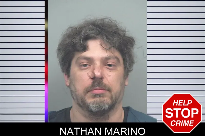 Nathan Marino mugshot – Gwinnett County , Georgia Nathan Marino mugshot
