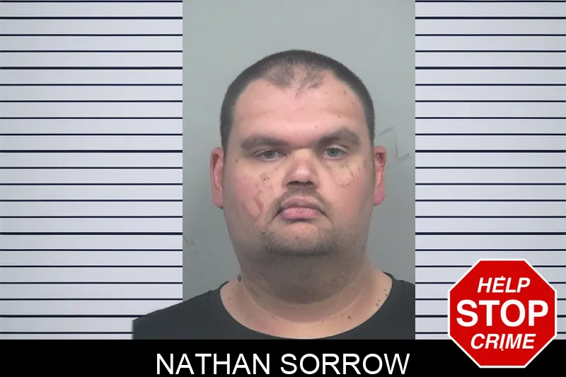 Nathan Sorrow mugshot – Gwinnett County , Georgia Nathan Sorrow mugshot