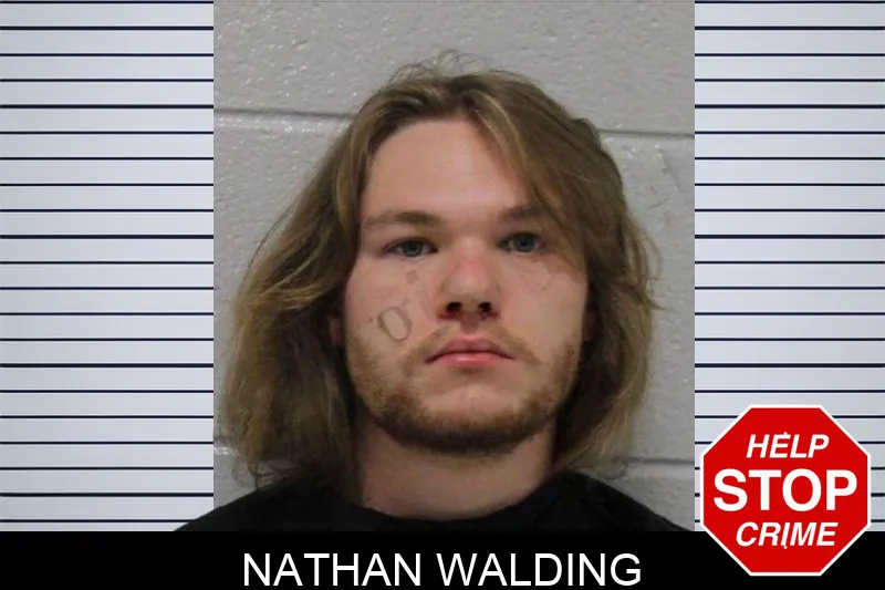Nathan Walding mugshot – Carroll County , Georgia Nathan Walding mugshot