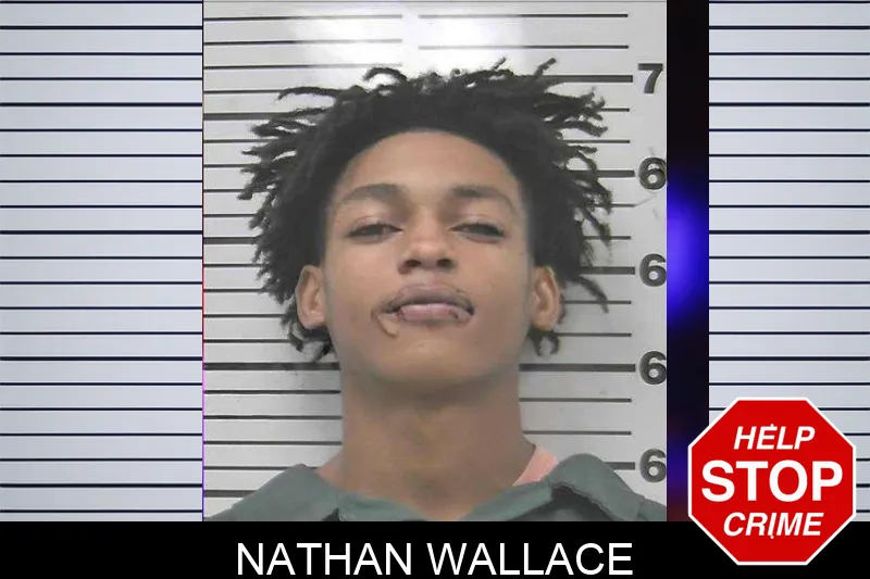 Nathan Wallace mugshot