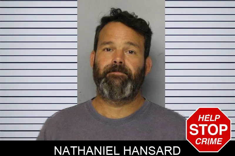 Nathaniel Hansard mugshot – Hall County , Georgia Nathaniel Hansard mugshot
