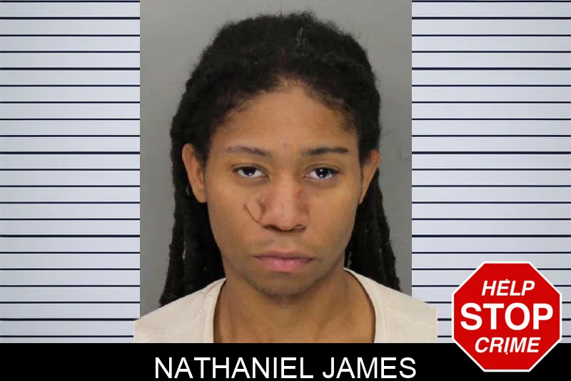 Nathaniel James mugshot