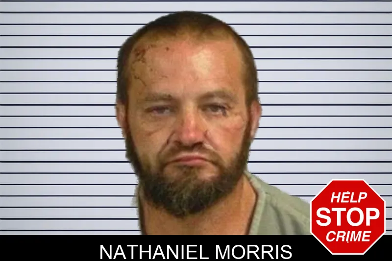 Nathaniel Morris mugshot