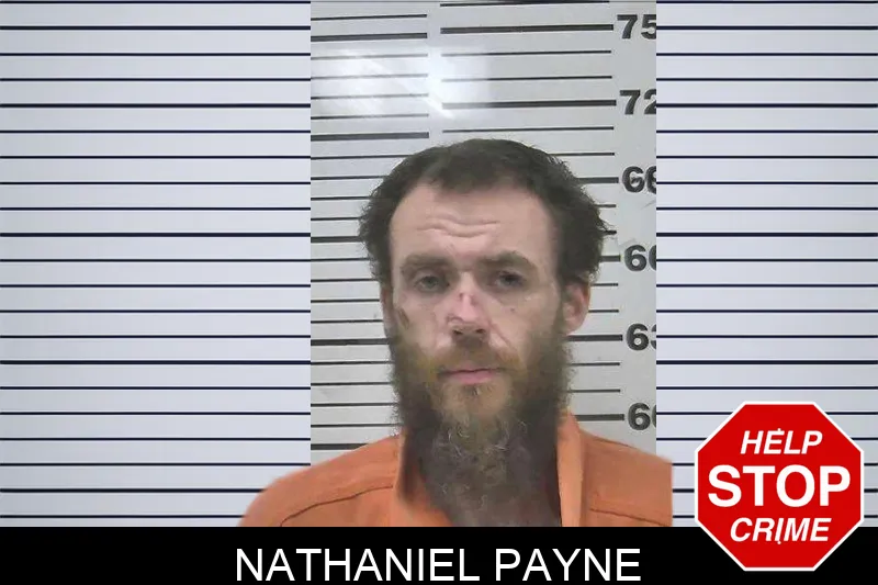 Nathaniel Payne mugshot
