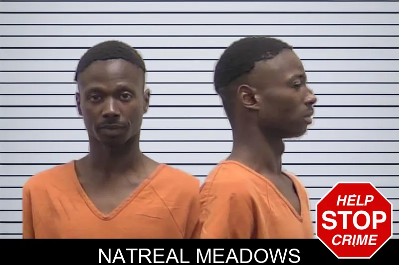 Natreal Meadows mugshot