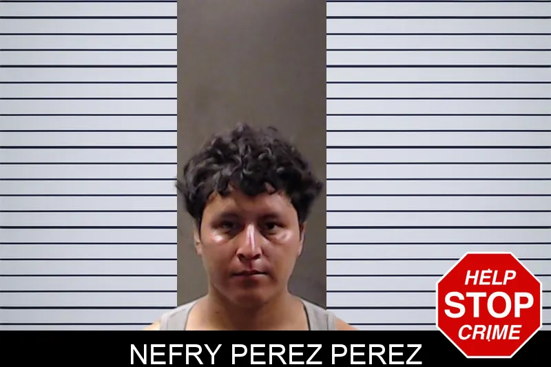 Nefry Perez Perez mugshot