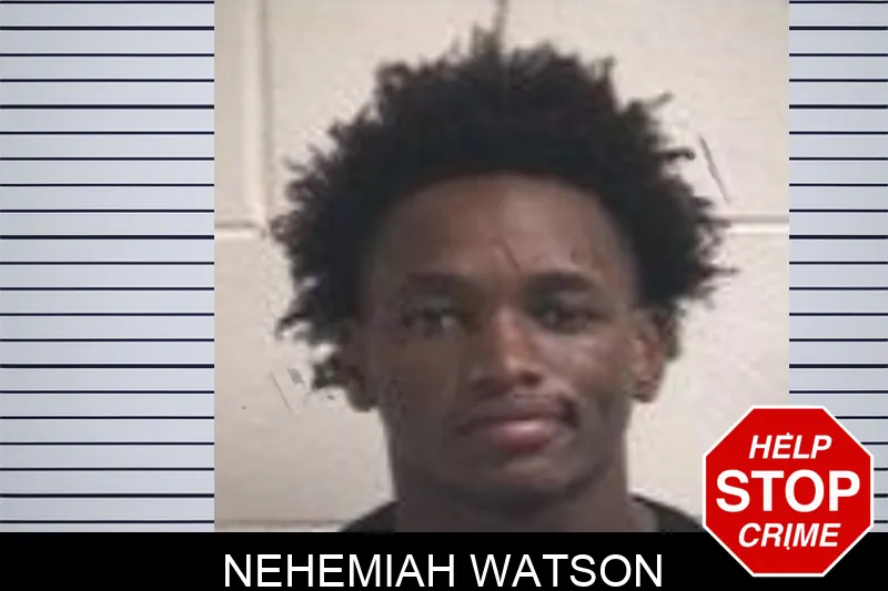 Nehemiah Watson mugshot – Henry County , Georgia Nehemiah Watson mugshot