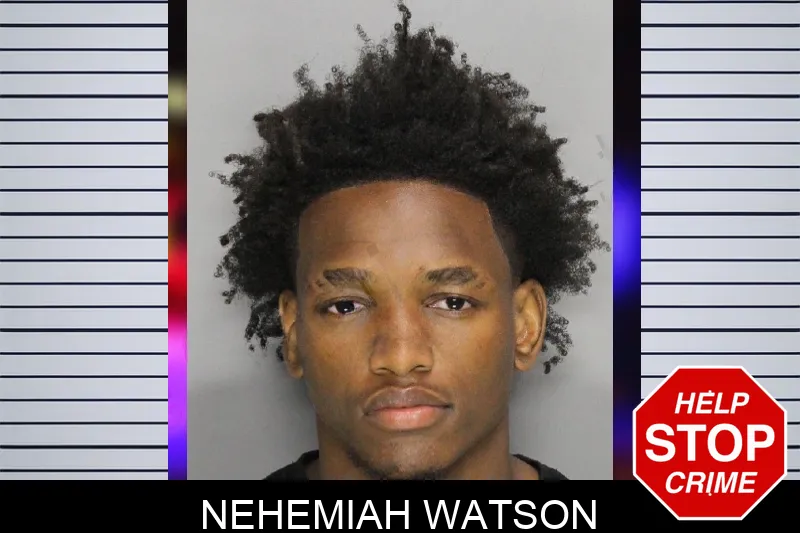 Nehemiah Watson mugshot