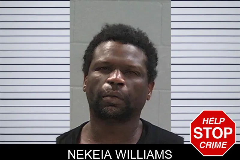Nekeia Williams mugshot