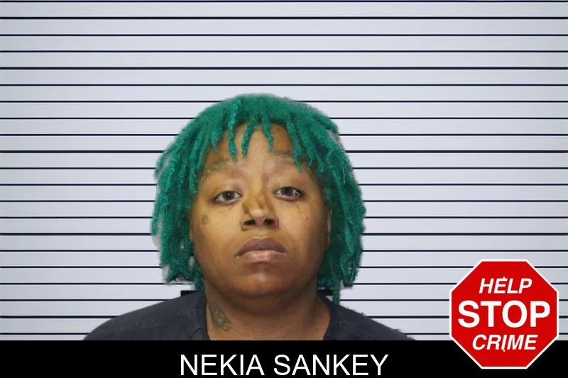 Nekia Sankey mugshot – Thomas County , Georgia Nekia Sankey mugshot