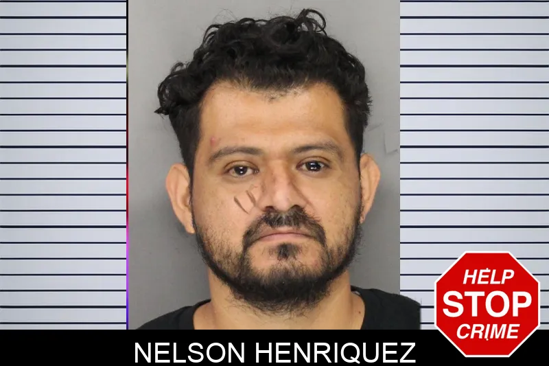 Nelson Henriquez mugshot – Cobb County , Georgia Nelson Henriquez mugshot