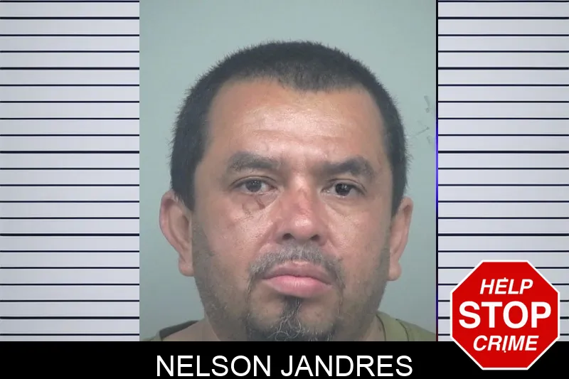 Nelson Jandres mugshot