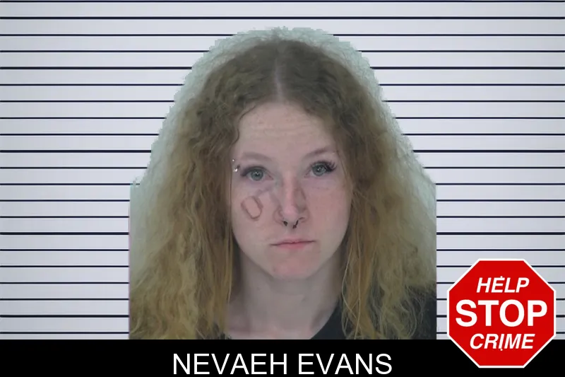 Nevaeh Evans mugshot – Fayette County , Georgia Nevaeh Evans mugshot