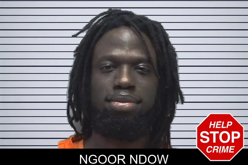 Ngoor Ndow mugshot – Cherokee County , Georgia Ngoor Ndow mugshot