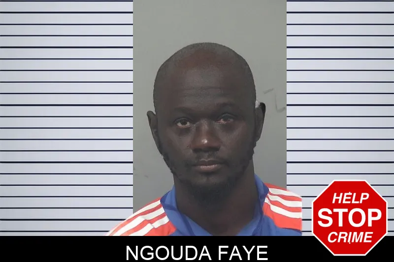 Ngouda Faye mugshot