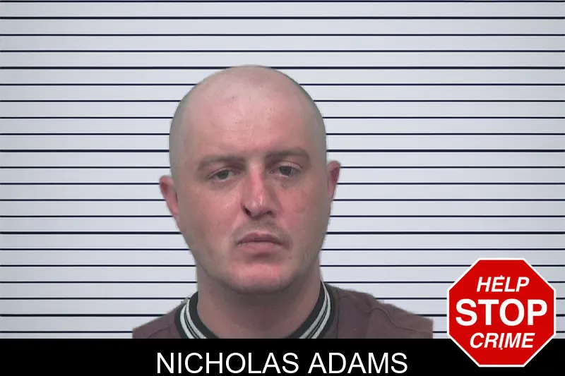 Nicholas Adams mugshot