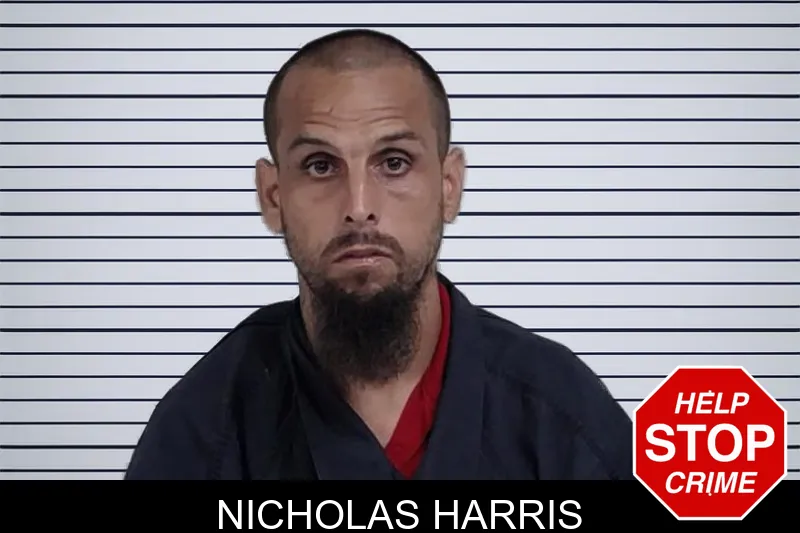 Nicholas Harris mugshot – Lowndes County , Georgia Nicholas Harris mugshot