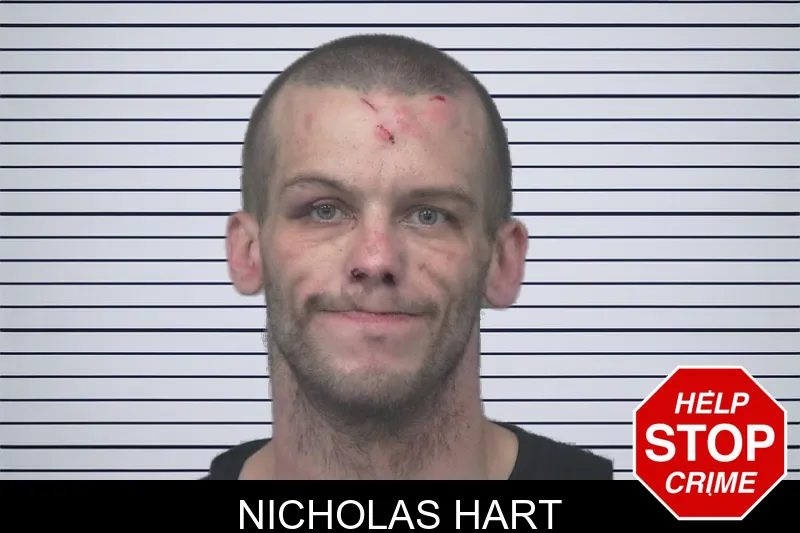 Nicholas Hart mugshot