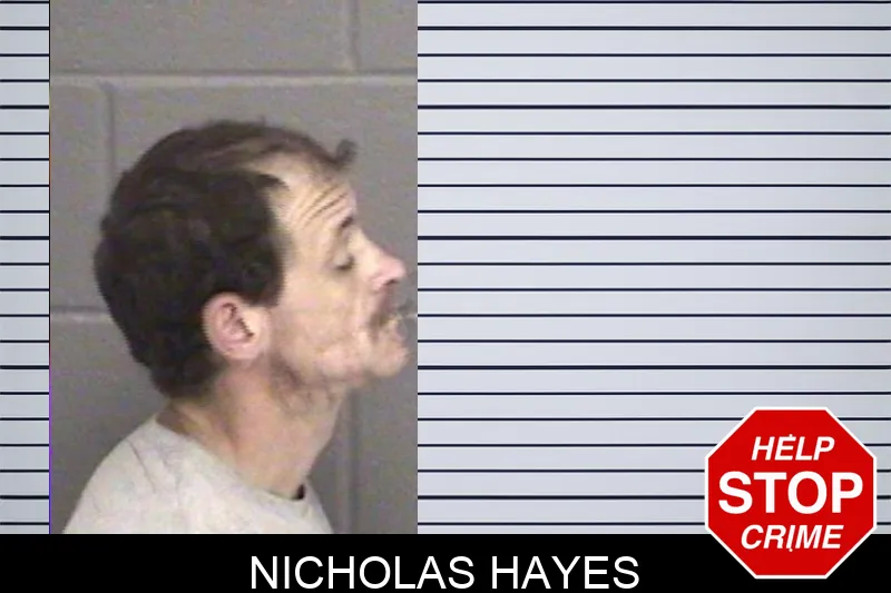 Nicholas Hayes mugshot