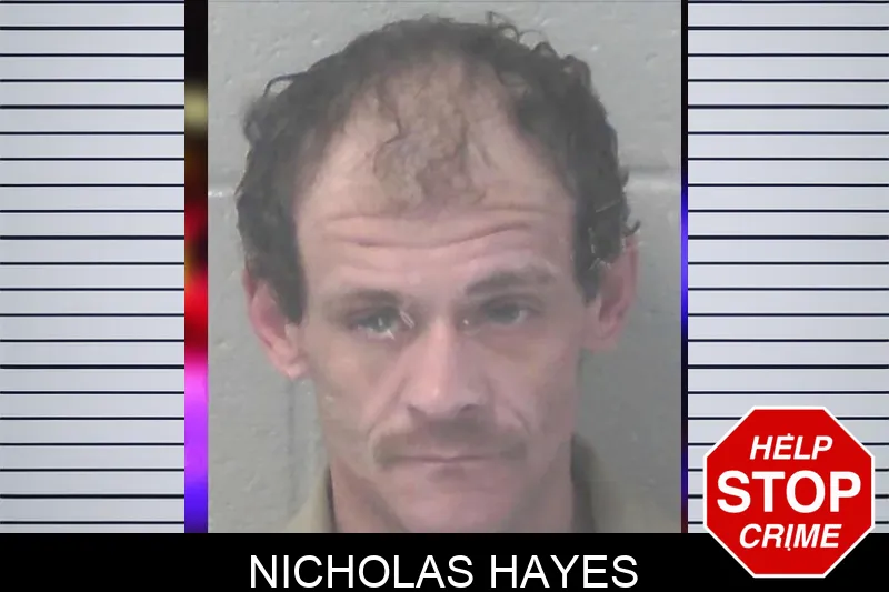 Nicholas Hayes mugshot